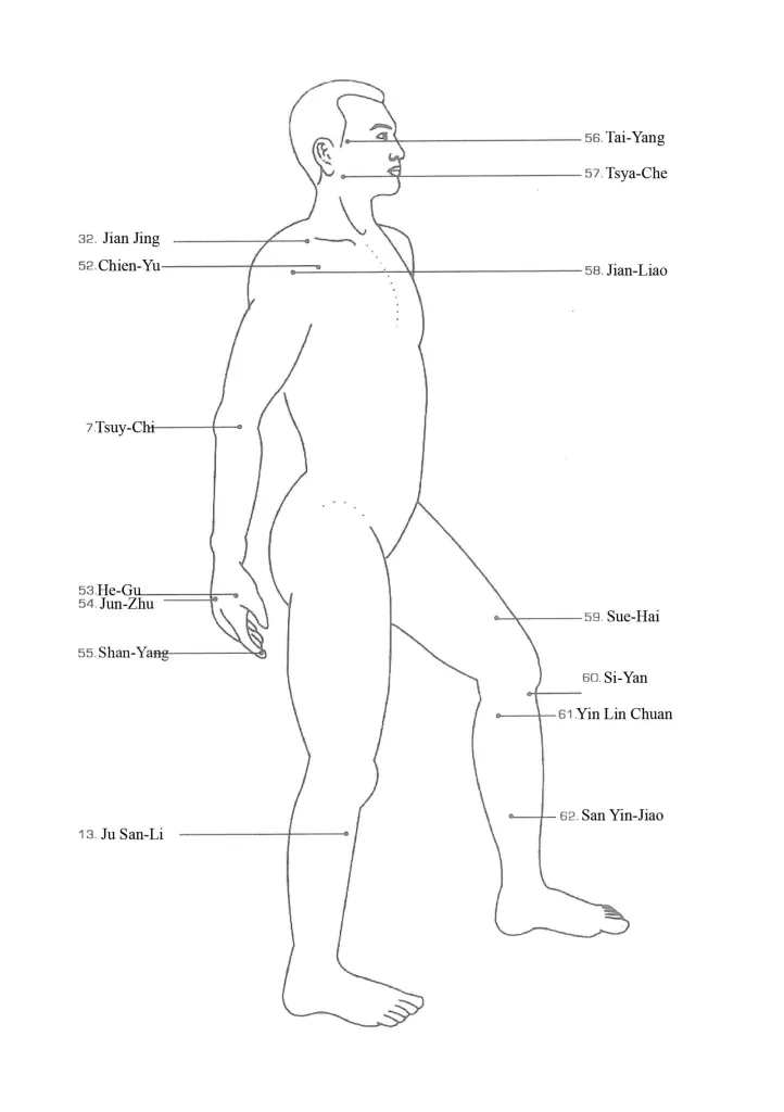 Fohow Massager Points 1