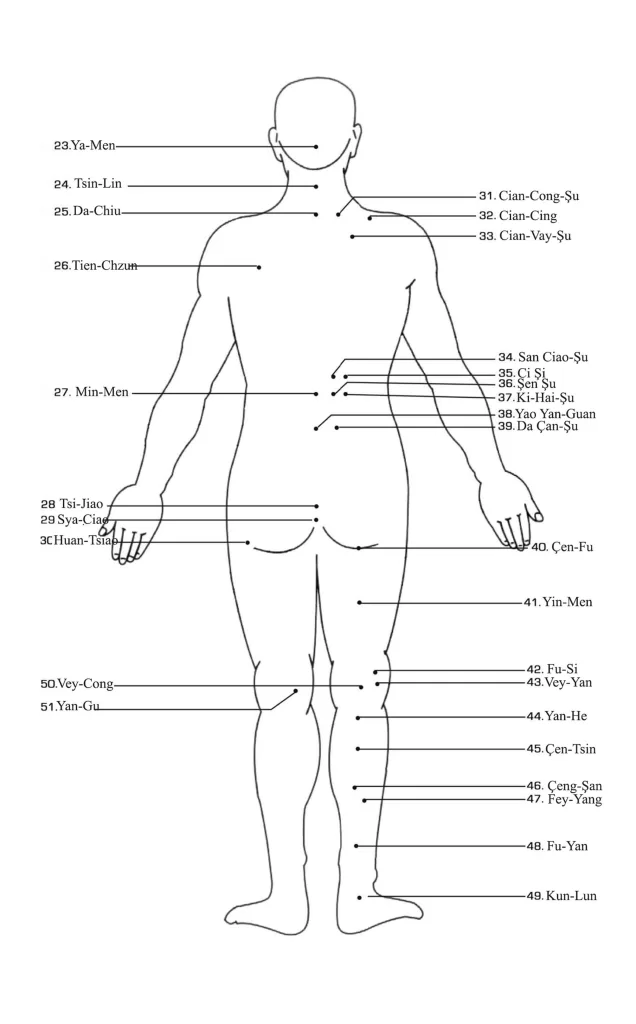 Fohow Massager Points 2